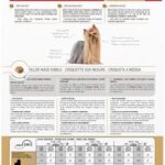 Royal Canin Yorkshire Terrier Adult Dry Dog Food, 2.5 lb bag - Image 2