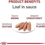 Royal Canin Feline Health Nutrition Adult Instinctive Loaf in Sauce Canned Cat Food, 3 oz can (24-count) - Image 2