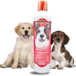 Bio-Groom Flea & Tick Dog Shampoo – Flea and Tick Prevention for Dogs, Cat Flea Treatment, Cruelty-Free, Made in USA, Natural Tick Repellent, Protein-Lanolin Shampoo – 12 fl oz 1-Pack