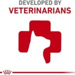 Royal Canin Feline Digestive Care Thin Slices in Gravy Wet Cat Food, 3 oz can (24-count) - Image 3