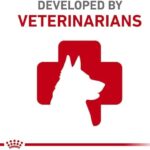 Royal Canin Small Adult Wet Dog Food, 3 oz can (12-count) - Image 4