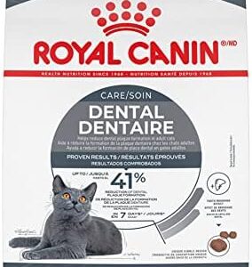 Royal Canin Feline Care Nutrition Dental Care Dry Cat Food, 6 lb bag