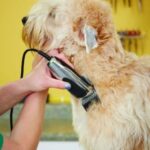 Andis 23585 EasyClip Whisper 12-Piece Adjustable Blade Clipper Kit, Pet Grooming, PM-4 - Image 4