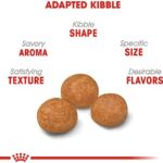 Royal Canin X-Small Adult Dry Dog Food, 2.5 lb bag - Image 3