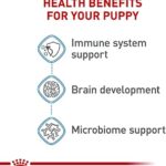 Royal Canin Breed Health Nutrition Golden Retriever Puppy Dry Dog Food, 30 lb & Large Puppy Wet Dog Food, 4.9 oz cans 10-Count - Image 8
