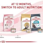 Royal Canin Feline Health Nutrition Kitten Dry, 7 lb bag - Image 8