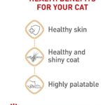 Royal Canin Feline Care Nutrition Hair & Skin Care Loaf in Sauce Canned Cat Food, 3 oz., Case of 24 - Image 4
