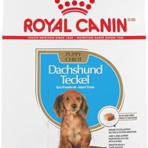 Royal Canin Dachshund Puppy Breed Specific Dry Dog Food, 2.5 lb bag