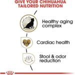 Royal Canin Chihuahua Adult 8+ Breed Specific Dry Dog Food for Senior Dogs, 2.5 lb. bag - Image 4