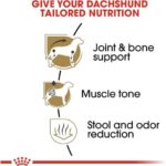 Royal Canin Dachshund Adult Breed Specific Dry Dog Food, 2.5 lb bag - Image 4