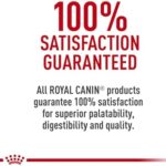 Royal Canin Small Adult Wet Dog Food, 3 oz can (12-count) - Image 8