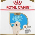 Royal Canin Breed Health Nutrition Golden Retriever Puppy Dry Dog Food, 30 lb & Large Puppy Wet Dog Food, 4.9 oz cans 10-Count