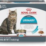 Royal Canin Feline Urinary Care Thin Slices in Gravy Wet Cat Food, 3 oz can, case of 6