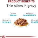 Royal Canin Feline Urinary Care Thin Slices in Gravy Wet Cat Food, 3 oz can, case of 6 - Image 3