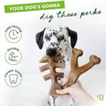 Benebone 2-pack Fishbone/Wishbone Durable Dog Chew Toys, Real Fish, Real Bacon, Made in USA, Medium - Image 3