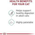 Royal Canin Feline Digestive Care Thin Slices in Gravy Wet Cat Food, 3 oz can (24-count) - Image 6