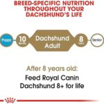 Royal Canin Dachshund Adult Breed Specific Dry Dog Food, 2.5 lb bag - Image 6