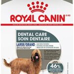 Royal Canin Large Dog Dental Care Dry Dog Food, 30 lb bag