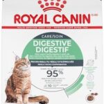Royal Canin Digestive Care Dry Cat Food, 6 lb bag