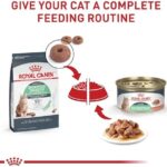 Royal Canin Feline Digestive Care Thin Slices in Gravy Wet Cat Food, 3 oz can (24-count) - Image 2