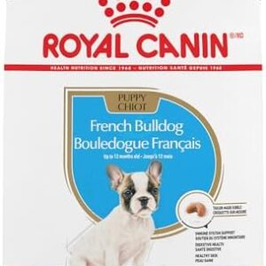 Royal Canin French Bulldog Puppy Dry Dog Food, 10.5 lb Bag