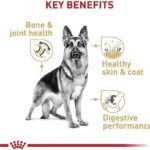 Royal Canin German Shepherd Adult Dry Dog Food, 30 lb bag - Image 4