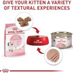 Royal Canin Feline Health Nutrition Kitten Dry, 7 lb bag - Image 9