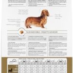 Royal Canin Dachshund Adult Breed Specific Dry Dog Food, 2.5 lb bag - Image 2