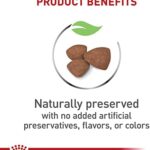 Royal Canin Size Health Nutrition Small Puppy Dry Dog Food, 2.5 lb bag - Image 3