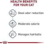 Royal Canin Feline Health Nutrition Indoor Adult Dry Cat Food, 7-Pound - Image 4