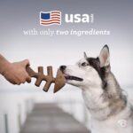 Benebone Fishbone Durable Dog Chew Toy for Aggressive Chewers, Real Fish, Made in USA, Giant - Image 5