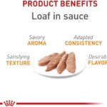 Royal Canin Feline Care Nutrition Hair & Skin Care Loaf in Sauce Canned Cat Food, 3 oz., Case of 24 - Image 3