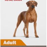 Royal Canin Canine Health Nutrition Adult In Gel Canned Dog Food, 13.5 oz can (6-pack)