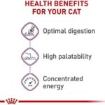 Royal Canin Adult Cat Sensitive Digestion Dry Adult Cat Food, 15 lb bag - Image 4