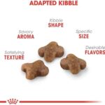 Royal Canin Feline Health Nutrition Kitten Dry, 7 lb bag - Image 3