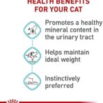 Royal Canin Feline Urinary Care Thin Slices in Gravy Wet Cat Food, 3 oz can, case of 6 - Image 4