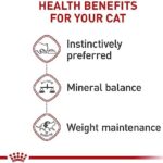 Royal Canin Feline Health Nutrition Adult Instinctive Loaf in Sauce Canned Cat Food, 3 oz can (24-count) - Image 3