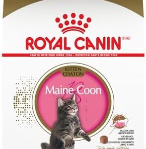 Royal Canin Maine Coon Breed Dry Kitten Food, 3 lb bag