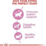 Royal Canin Feline Health Nutrition Kitten Dry, 7 lb bag - Image 5