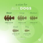 Benebone Fishbone Durable Dog Chew Toy for Aggressive Chewers, Real Fish, Made in USA, Giant - Image 4