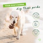 Benebone Fishbone Durable Dog Chew Toy for Aggressive Chewers, Real Fish, Made in USA, Giant - Image 3