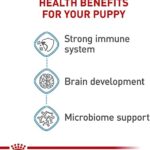 Royal Canin Size Health Nutrition Small Puppy Dry Dog Food, 2.5 lb bag - Image 4
