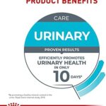 Royal Canin Feline Urinary Care Thin Slices in Gravy Wet Cat Food, 3 oz can, case of 6 - Image 5