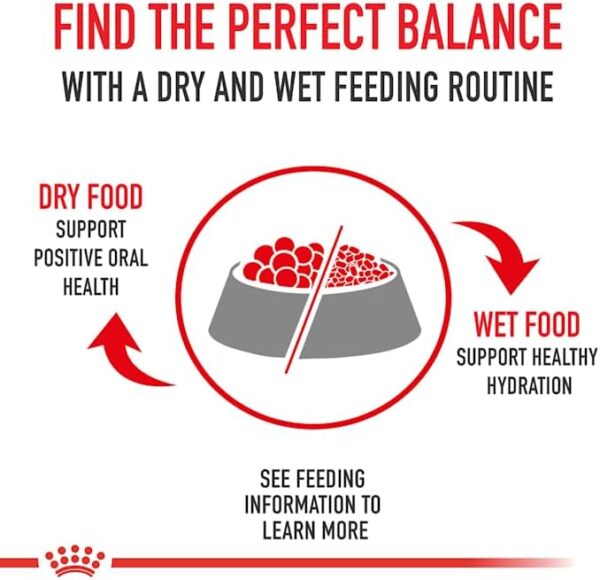 Royal Canin Cocker Spaniel Adult Dry Dog Food, 25 lb bag - Image 6