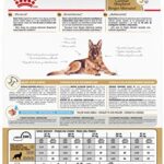 Royal Canin® Breed Health Nutrition German Shepherd Adult 5+ Dry Dog Food, 28 lb - Image 2