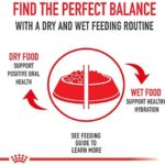 Royal Canin Medium Comfort Care Dry Dog Food for Nervous Dogs, 30 lb bag - Image 6
