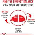 Royal Canin Medium Digestive Care Dry Dog Food, 17 lb bag - Image 3