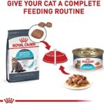 Royal Canin Feline Urinary Care Thin Slices in Gravy Wet Cat Food, 3 oz can, case of 6 - Image 6