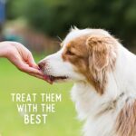 Beg & Barker Chicken Chips for Dogs (8oz, Pack of 1) - Single Ingredient Dog Treats Made for Small and Large Dogs Protein Human Grade Dog Treats Made from Real Meat Chicken, Made in USA - Image 4