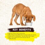 Inception® Wet Dog Food Chicken Recipe – Complete and Balanced Dog Food – Meat First Legume Free Wet Dog Food – 12/13oz case - Image 5
